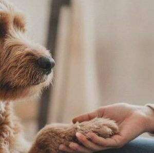 V.I.P Warteliste Mutmacher